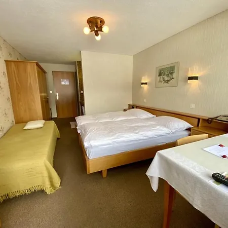 Alpina Hotel