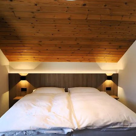 Alpina Hotel 3*