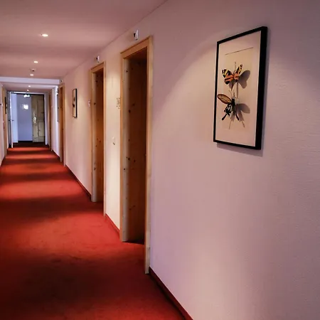 Alpina Hotel