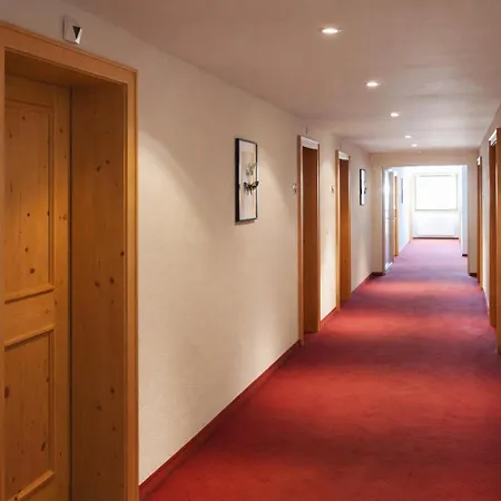Hotel Alpina 3*