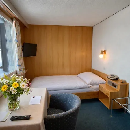 Hotel Alpina 3*