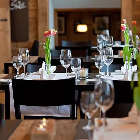 Hotel Alpina 3*