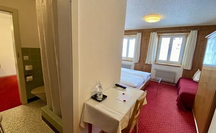 Hotel Alpina 3*